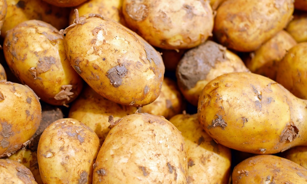 Pomysł na obiad z pieczonymi ziemniakami – Nasze Propozycje